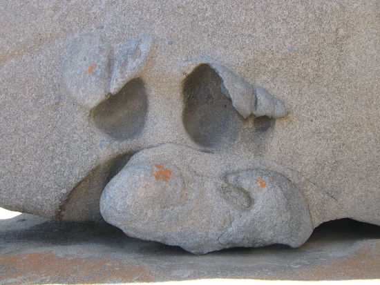 Dieses Felsgesicht wird "Miss Piggy" genannt