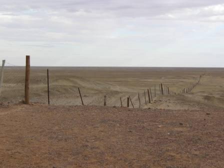 Dog Fence