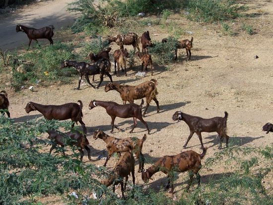 Blick aus unserem Fenster