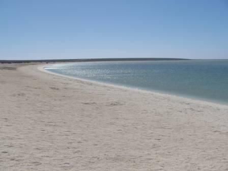 Shell Beach
