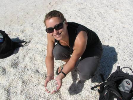 Shell Beach