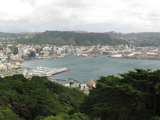 Wellington - Blick vom Mt. Victoria