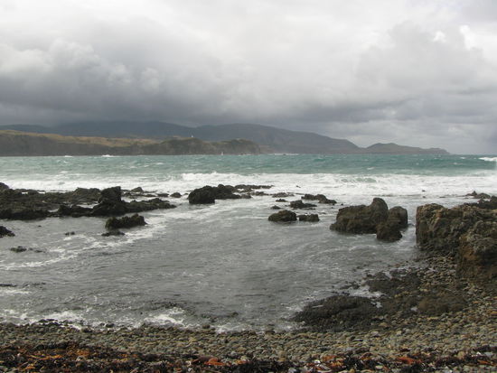 Küste in Wellington