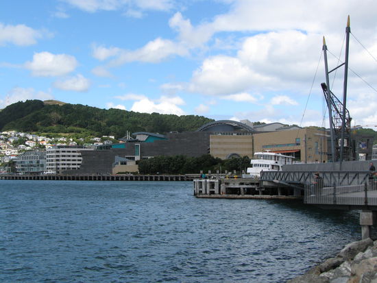 Te Papa Museum