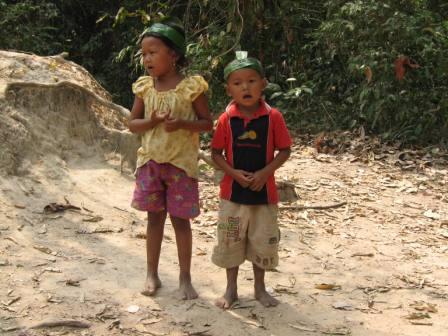 Kleine Sänger vor dem Ta Prohm