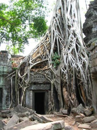 im Ta Prohm