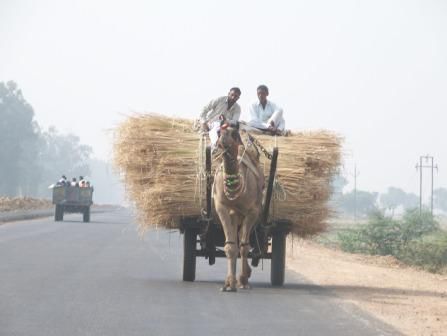Auf dem "Highway" Richtung Agra