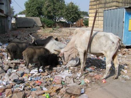 in Khajuraho