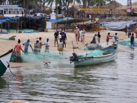 Fischer am Baga Beach