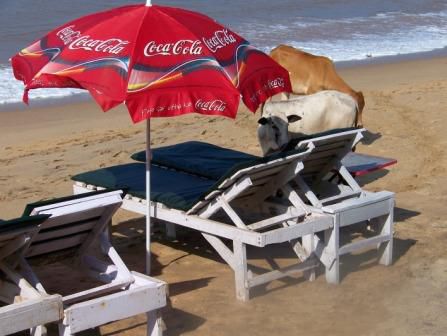 Anjuna Beach