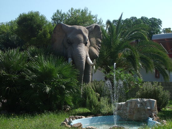 Eigang Camping L'Alqeria