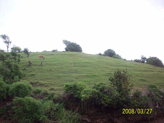 sonst sah es im sueden oft aehnlich aus wie auf unseren almen ...
