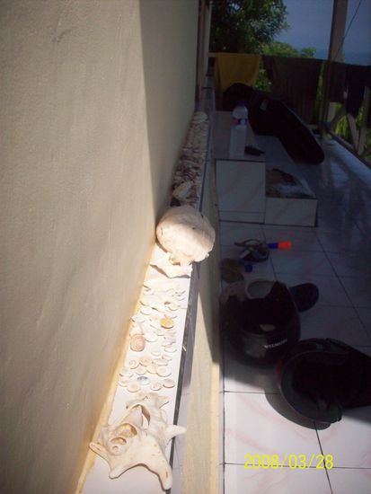 unser strand war zwar nicht zum schwimmen geeignet, doch der strand war voller schaetze!
nicht suchen, sondern nur aufheben!