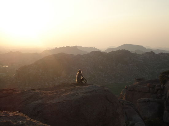endlich der sonnenuntergang am hanuman tempel (affengott)