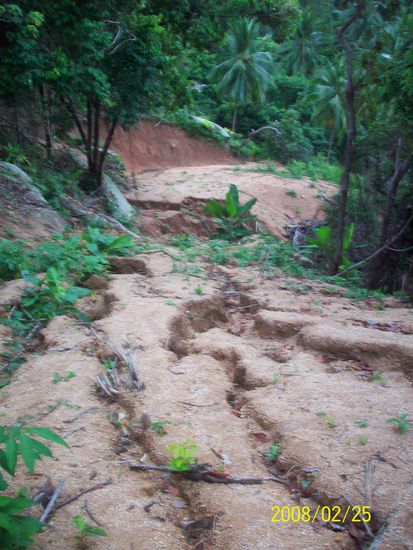 spaziergang durch den dschungel.
so, jedoch nicht ganz so schlimm ist auch der weg nach haad sadet bzw. wieder zurueck nach thongsala.