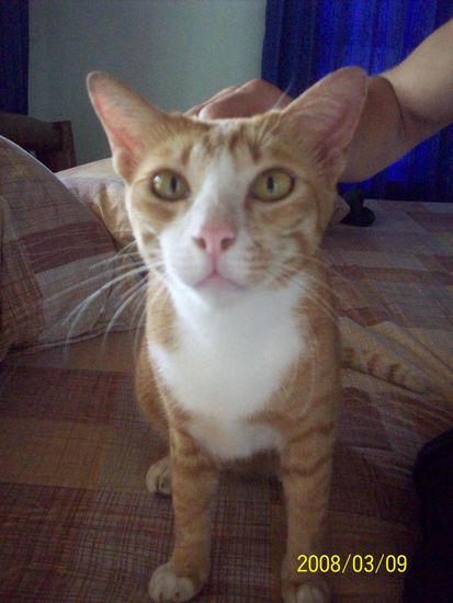 auch hier hatten wir gleich ein neues haustier...