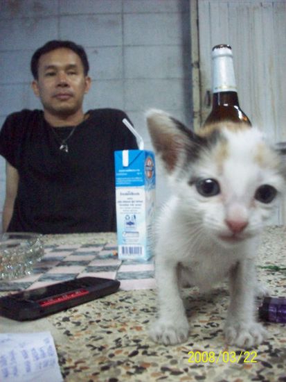 sa, der gute und fleissige geist unseres guesthouses mit seinem findelkind, das er aufzupeppeln versuchte