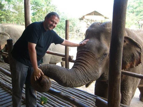 irgendwo zwischen Hand und Elefant ist auch noch Futter