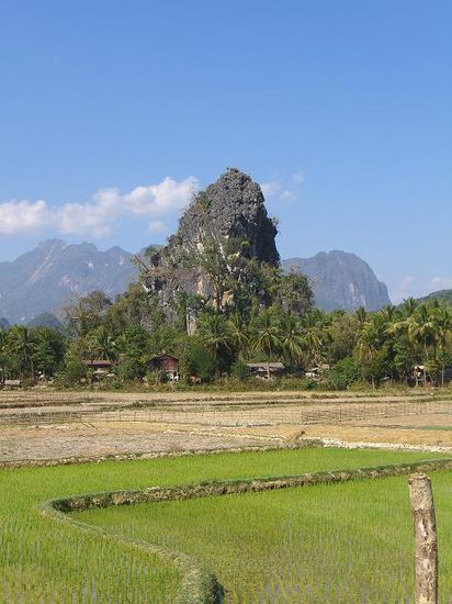 Reisfelder ... Felsen ... Berge ... Palmen ... Laos ...