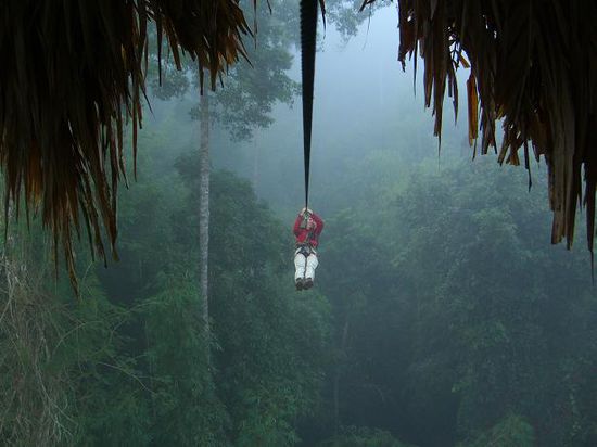 Elske am Weg ins Treehouse