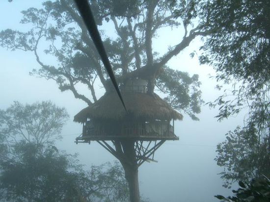 und ich auf halbem Wege zum Treehouse mit Kamera in der Hand ...
