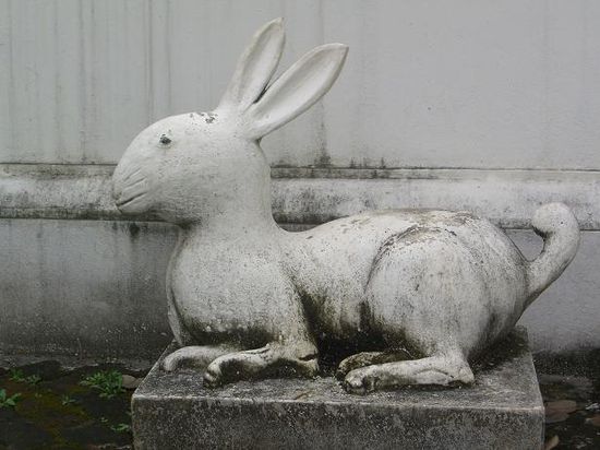 Alice ?