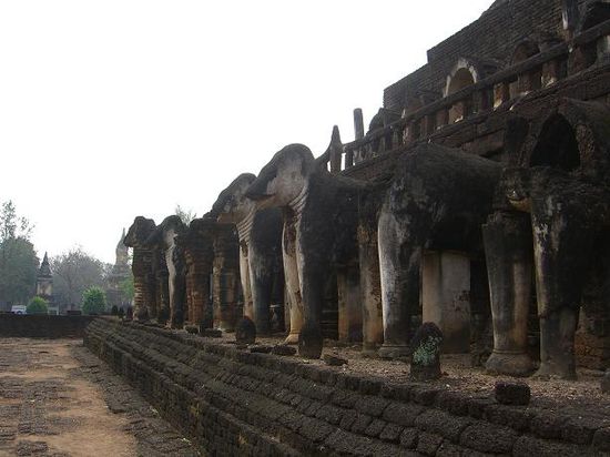 Lebensgrosse Elefanten tragen den Wat Chang Lom