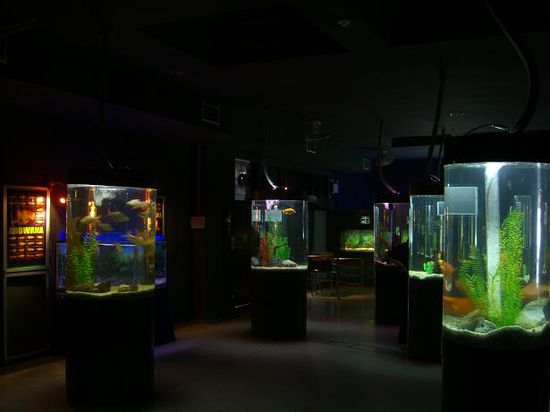 einige der kleineren Aquarien