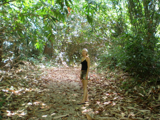 Man kann es ja nicht hoeren, aber die Tiere des Dschungels machen einen hoellen Laerm.