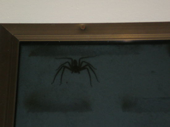 ...und die nicht !!!!!!