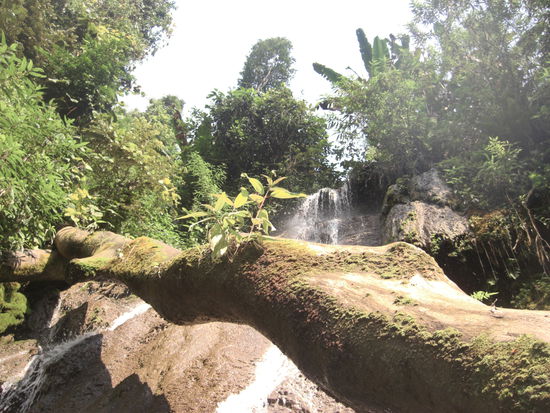 der Wasserfall in tropischer Umgebung