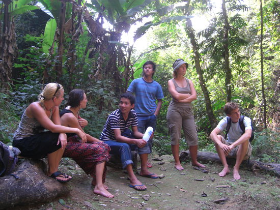 Im Dschungel unterwegs