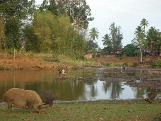 Das Leben neben der Strasse!