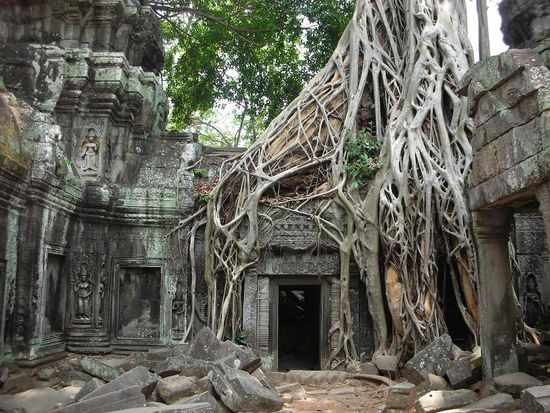 und wieder Angkor