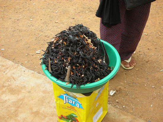 Lecker gebratene Vogelspinnen! (Nur 1$)