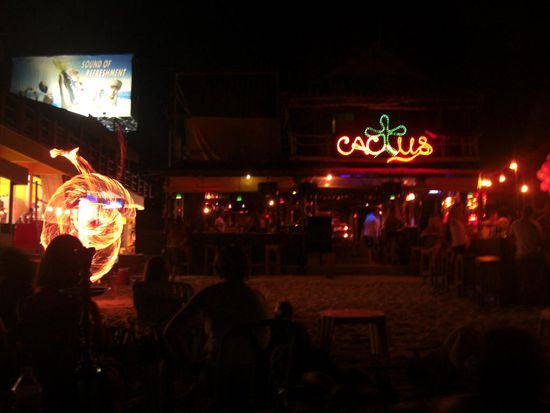 Cactus-Bar
