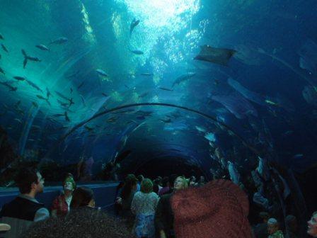 Seaworld