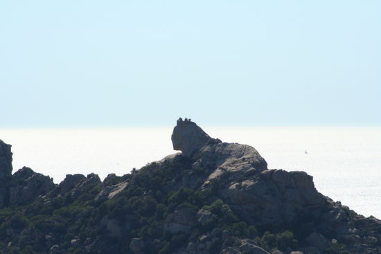 Ein Löwe aus Stein.