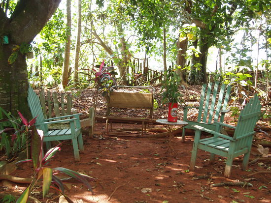 Im Botanischen Garten