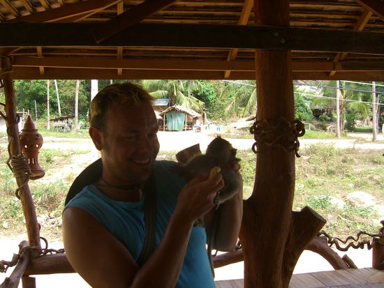 Hier füttere ich geade einen kleinen Babymakaken "Maeo"; so seine Besitzerin, die eine Bar in Thong Nai Pan führt.