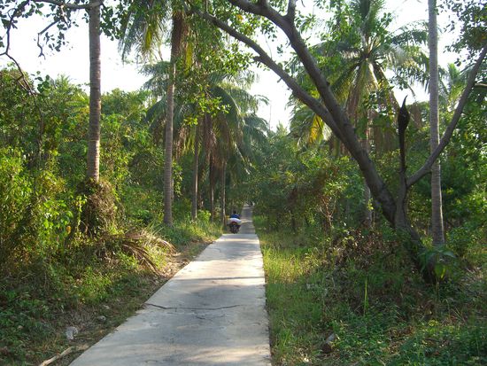 Eine typische Strasse auf Ko Payam. Auf dieser Insel konnte man aber alles erlaufen. Autos sind nicht erlaubt; es gibt nur die typischen Mopedtaxi.
