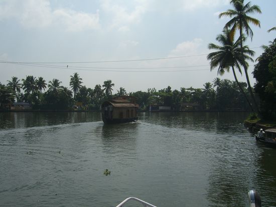 in the Backwaters
