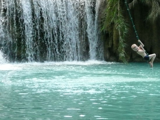 Unser kleiner Tarzan schwingt sich in die Fluten vom Tad Kuang Si. Der schoenste Wasserfall in ganz Asien!!!