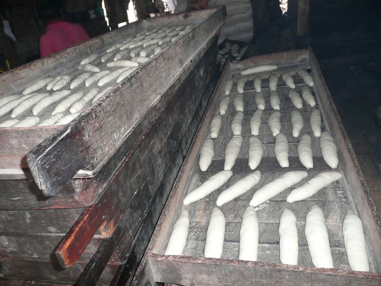 Hier duerfen die Teiglinge noch in Ruhe gehen