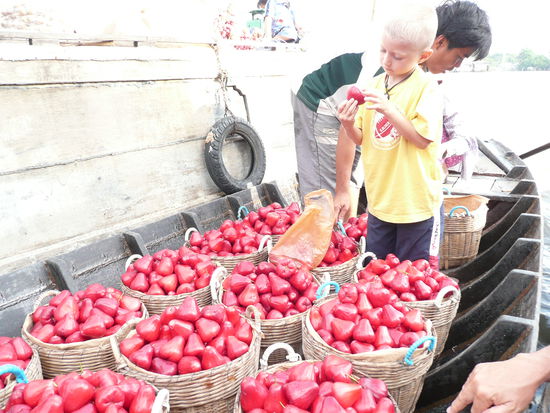 Paul beim Ausswaelen der Lum's - und wie genau er sich die alle angeschaut hat!!