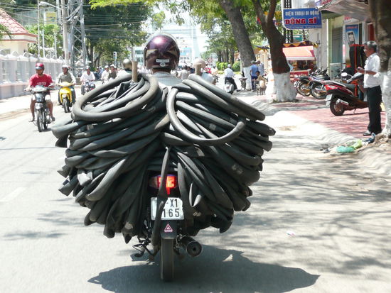 gesichtet in Phan Tiet