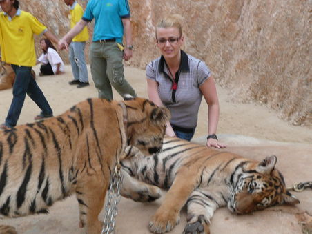 Tanja im Tigertempel