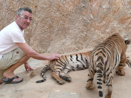 Manfred im Tiger Tempel