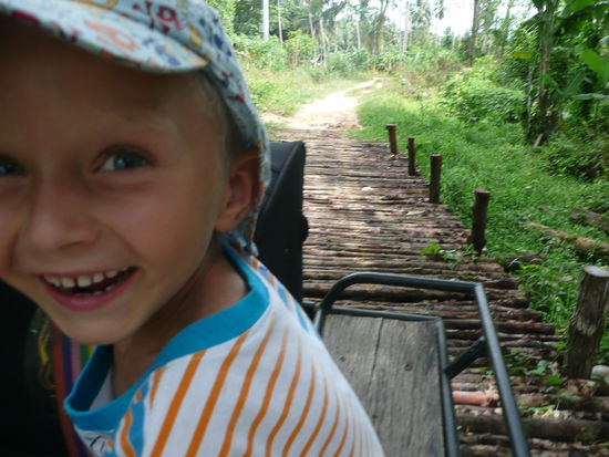 super wackelige Bruecke aus duennen Holzstaemmen