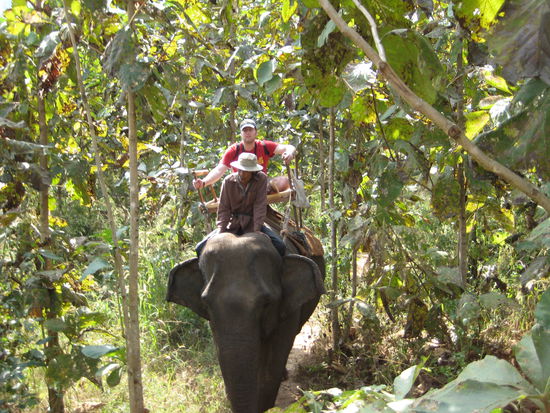 in the jungtle, the mighty jungle, Stefan rides today